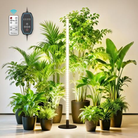 Lampe horticole sur pied, 1,65mètre,LED à spectre complet, éclairage automatique, convient aux herbes aromatiques et aux plantes succulentes.