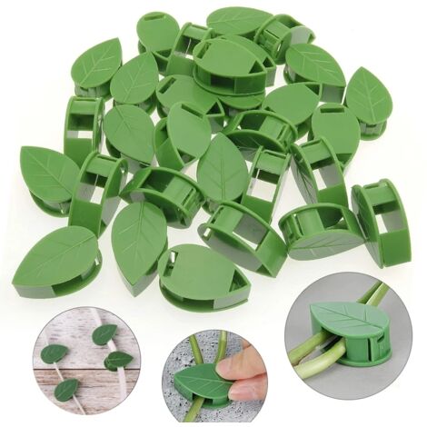 20 pièces Invisible plante escalade fixation murale rotin vigne Support fixe boucle feuille Clips Traction support jardin plante Support (1/5)