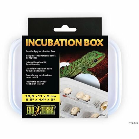 Exo Terra boite incubation (1/2)