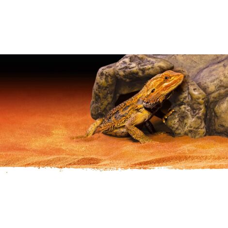 CUEVA HIDING PEQUEA EXO TERRA 0015561229302