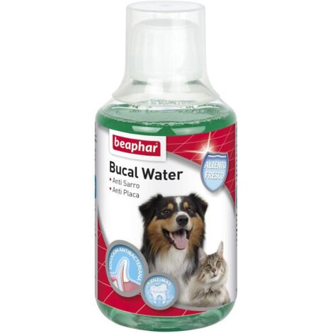 BEAPHAR Bucal Water para Perros y Gatos, 250 ml