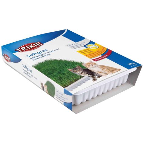 TRIXIE Bandeja hierba para gatos 100 g