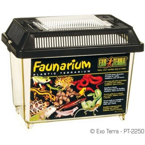 Terrario de plástico Exo Terra Faunarium