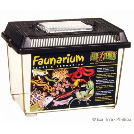 Terrario de plástico Exo Terra Faunarium