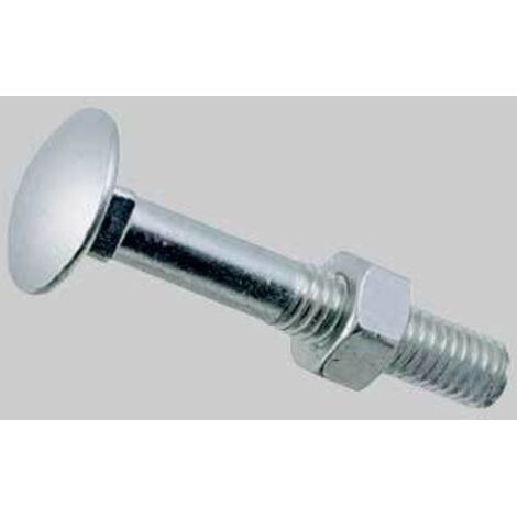 Vite testa tonda quadro sottotesta e dado m10x45 conf. da 100 pz