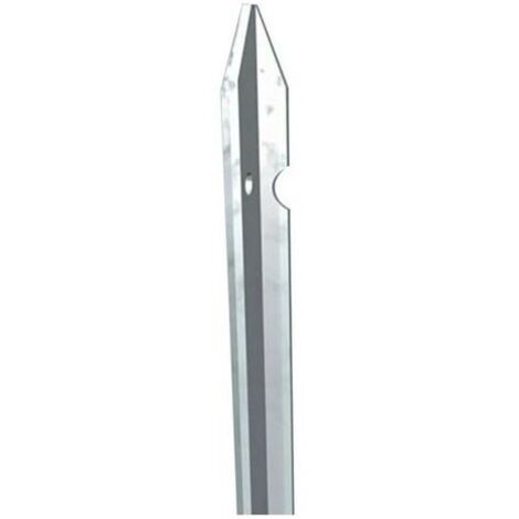 10 Paletti in Ferro Zincato 250cm Pali a T per Terreni