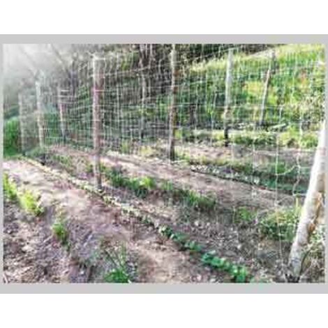 RETE PER RAMPICANTI IDEAL STAR mt 2x100 - Col. Bianca. Prezzo per rotolo.
