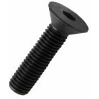 VITE BRUGOLA TP 10.9 5x 10 DIN7991-UNI5933