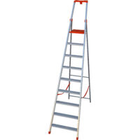 SCALA DOMESTICA PROFESSIONALE 'PIU' SU' 10 Gradini