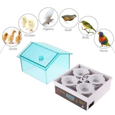 Mini Incubateur Automatique pour Poulet Canard Fiche,Hatcher Couveuse 4 Oeufs