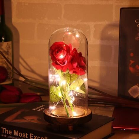 Rose Eternelle Et Lumière LED - La Belle Et La Bête - Fleur Artificielle Maison Décoration Cadeaux De Saint-Valentin (1/4)