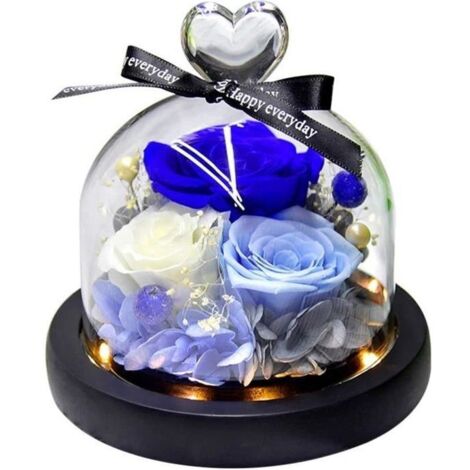 Rose Eternelle sous Cloche - AMOUNE - Coeurs pêche - Verre - Fleurs naturelles - Décoratif (1/4)