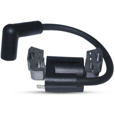 Bobine d\'allumage pour Briggs & Stratton 798534 799582 593872 593381 84005272 (1/4)
