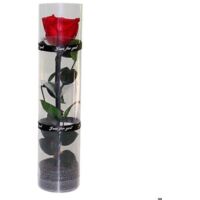 vraie rose éternelle, rose éternelle, rose durable, rose éternelle