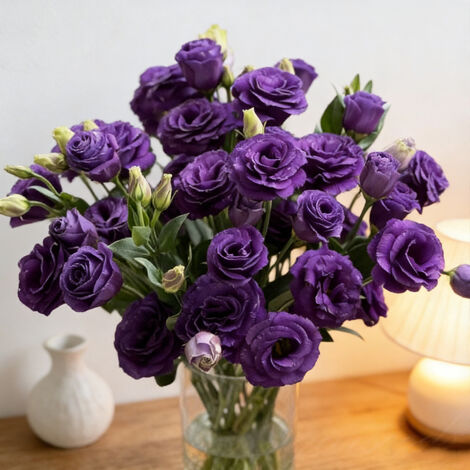 1000 Violet Lisianthus Seeds – Eustoma Grandiflorum, Elegant Double Flowers, Perfect for Borders and Balcony