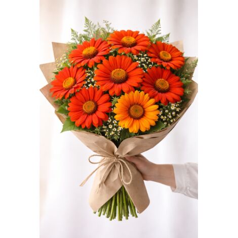 Sunflower Seeds Mexican Variety 100 – Garden & Balcony Flowers (1/5)