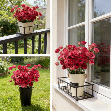 1000 Red Lisianthus Seeds – Classic Double-Flowered Eustoma Grandiflorum, Ideal for Garden Borders and Cut Flowers