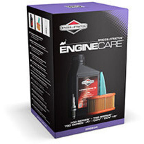 Kit D'entretien Pour Tondeuses Avec Moteurs Briggs & Stratton Séries 700, 750, 750 I/c, Dov, Dov I/c. Composé D'un Bidon D'huile