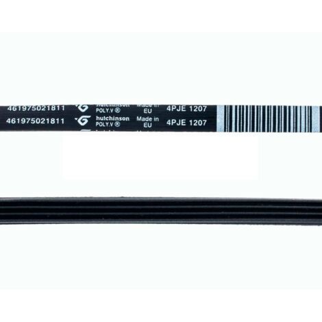Courroie 1207 J4 (61867-21704) (481235818204) Lave-linge WHIRLPOOL, LADEN, IGNIS, INDESIT, BAUKNECHT, PROLINE, RADIOLA, ARISTON (1/2)