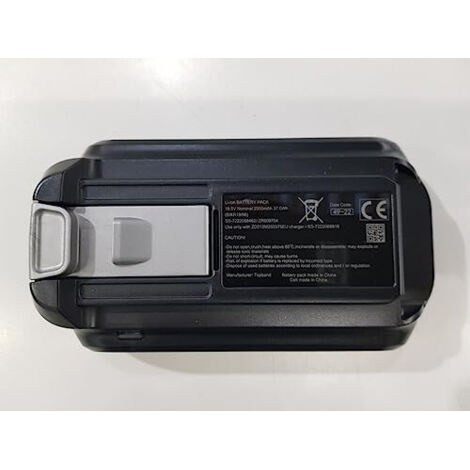Batterie lithium-ion 18,5V pour aspirateur X-Force Flex 9.60 – Accessoire compatible avec sacs ROWENTA – Autonomie prolongée pour nettoyage efficace