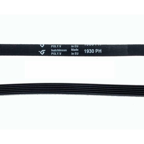 Courroie 1930H6 (101889-22502) (481281728292) Sèche-linge CANDY, HOOVER, BOSCH, ARISTON HOTPOINT, BRANDT, SIEMENS, THOMSON, INDE (1/2)