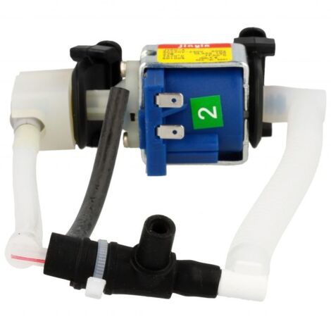 POMPE ASSEMBLÉE POUR PETIT ELECTROMENAGER PHILIPS - 423902275931 (1/5)