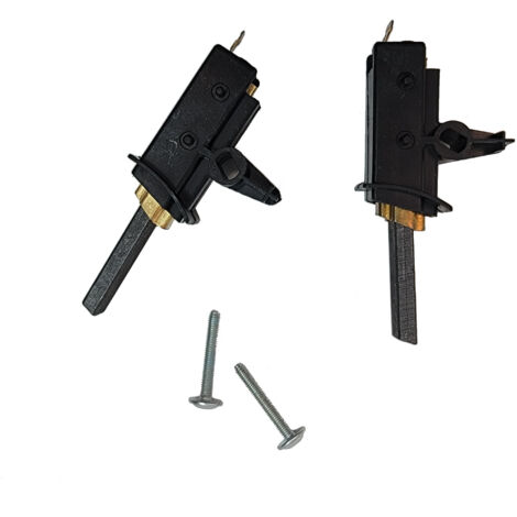 Jeu de 2 charbons moteur d'origine
