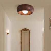 Simple dimmable ceiling light, full spectrum, suitable for bedroom, walnut color, tricolor light, 220V V, 30x10cm