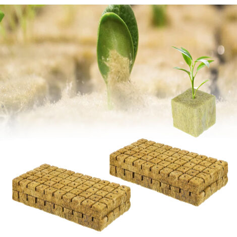 Confezione da 200 cubetti di lana di roccia Tappetino di propagazione in lana di roccia per talee Clonazione Propagazione di piante 25 x 25 x 25 mm