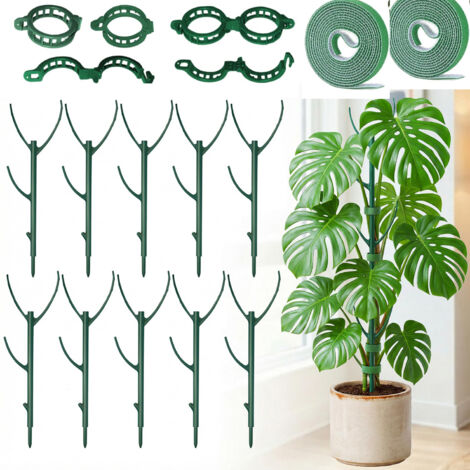 Confezione da 10 bastoncini di supporto per piante di Monstera - Impilabili, per giardino esterno, con nastro adesivo e clip, per piante rampicanti (1/5)