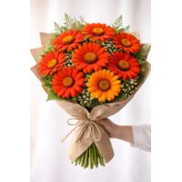 Mexican Sunflower Seeds 800 pcs – Easy Planting, Garden Outdoor Flowers