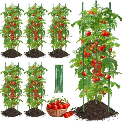tuteur tomate treillis jardin tuteur plante grimpante treillis plante grimpante exterieur support plante grimpante