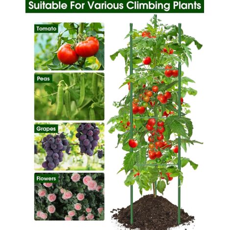 tuteur tomates treillis jardin Cage à Tomates Support 120cm Treillis Plante Grimpante Exterieur Obélisque Treillis pour Jardin