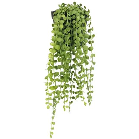 Plante succulente retombante artificielle 40cm (1/4)