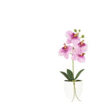 Orchidée artificielle veinée 35cm
