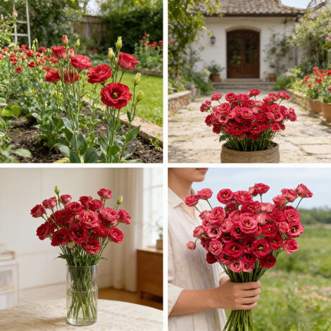 1000 Classic Red Lisianthus Seeds – Eustoma Grandiflorum, Perfect for Cut Flowers and Garden Borders
