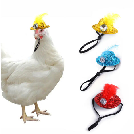 Lot de 3 chapeaux pour poules, mini chapeaux pour poules, chapeaux pour poules de compagnie, taille M