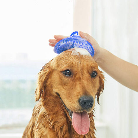 2ps Bleu Brosse de toilettage pour chien - Brosse de bain pour (1/5)