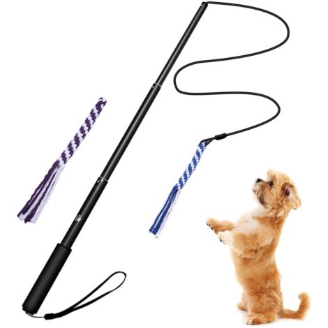 Bleu Flirt Pôle Chien Baguette Teaser Extensible pour Chien Jou (1/5)