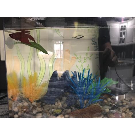 Hamac flottant pour aquarium (1/3)