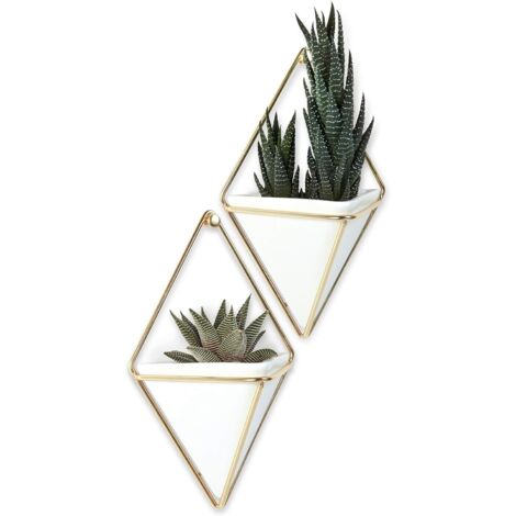 Pot suspendu géométrique et décoration murale pour petites plantes, succulentes