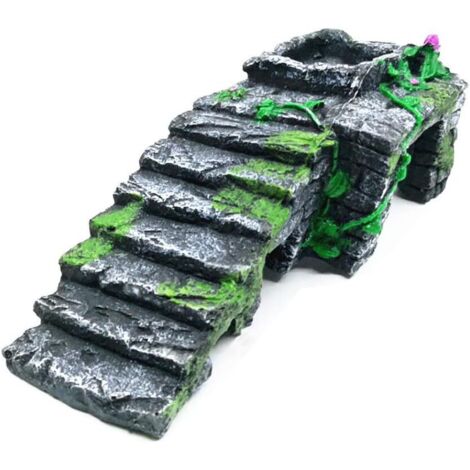 Décoration de terrarium pour reptiles : chauffage et arrosage (1/5)