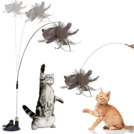 Plumes interactives pour chat, canne à pêche interactive pour chat avec plumes (1/5)