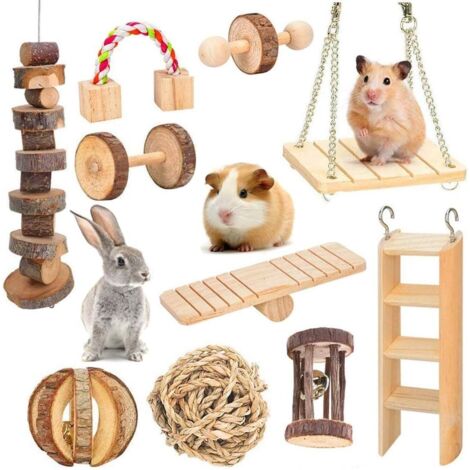 Lot de 10 haltères à mâcher en bois naturel pour perroquet, hamster syrien, G (1/5)