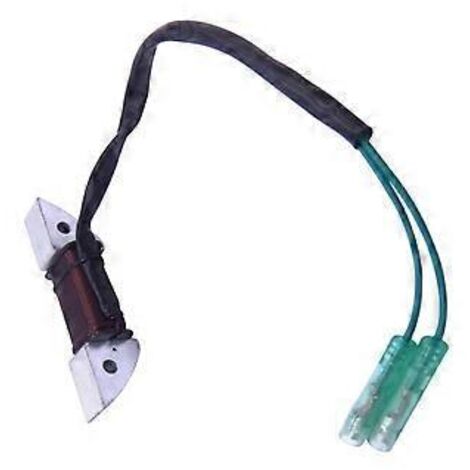 Bobine de charge d'alternateur pour moteur de bateau 8 CV 9 (1/5)