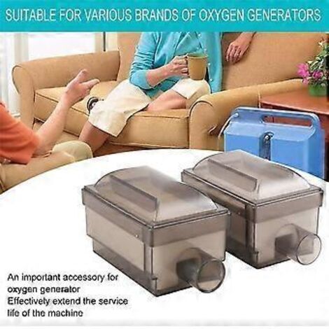 Lot de 2 filtres de rechange universels pour générateur d'oxygène, filtre de 5 L pour générateur d'oxygène C (1/5)