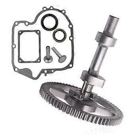 Kit de pignon d'arbre à cames et joint d'arbre à cames pour For & Stratton 793880, 791942 et 795102 (1/5)