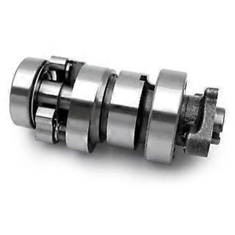 Ensemble arbre à cames de moto 14100-K35-J000 pour moteurs de moto 125 et 150 cm³ (2016-2023) - Accès à l'arbre à cames (1/5)