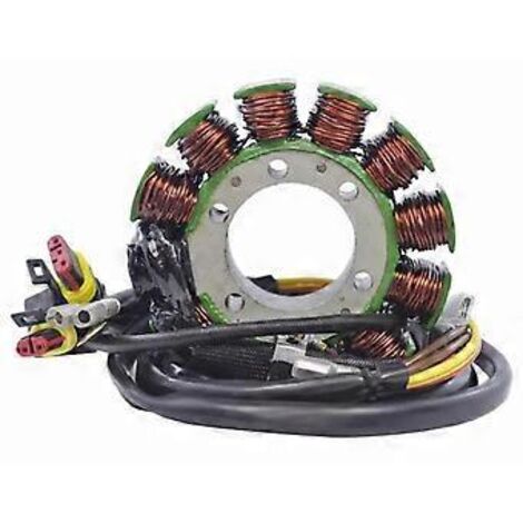 Stator, bobine de stator pour Sportsman 600 et Sportsman 700 (2002-2006) : 4010709, 4011103, 4060150, 2202602, 22026 (1/5)