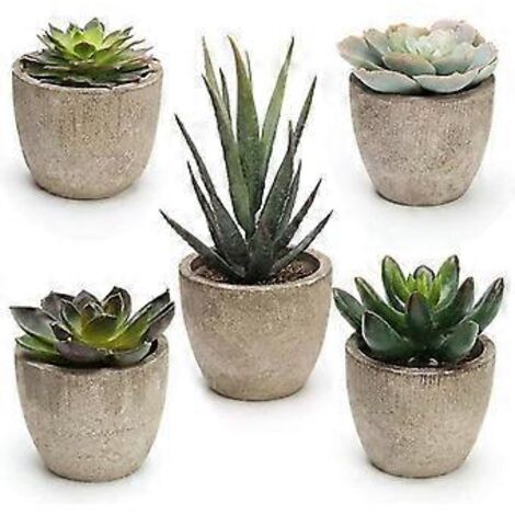 Ensemble mixte de 5 plantes succulentes artificielles avec pots (1/3)